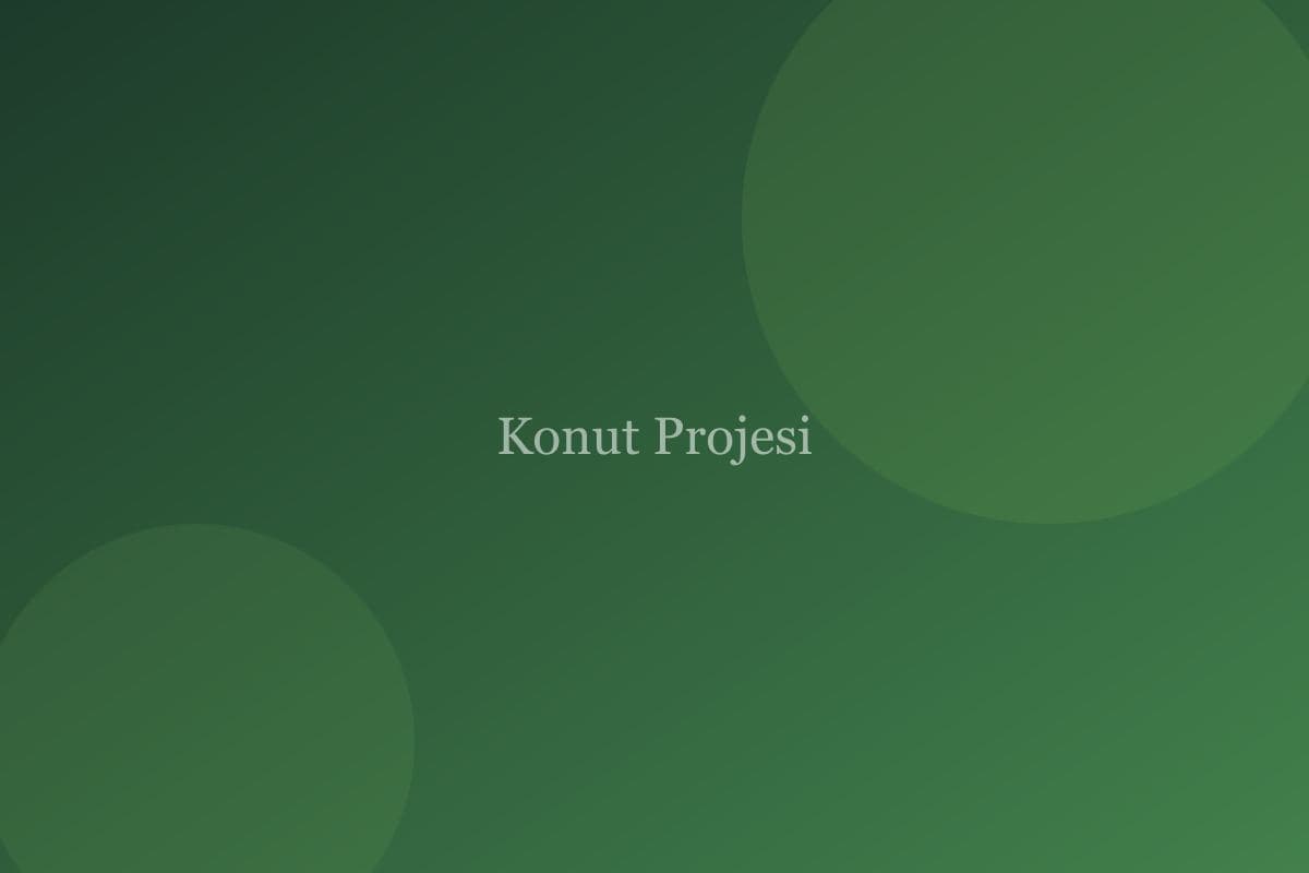 Konut projesi