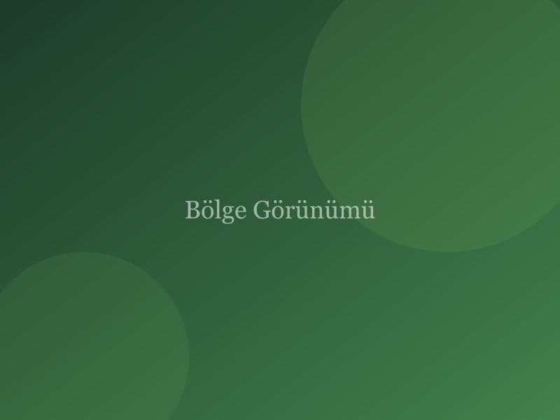 Bölge görünümü