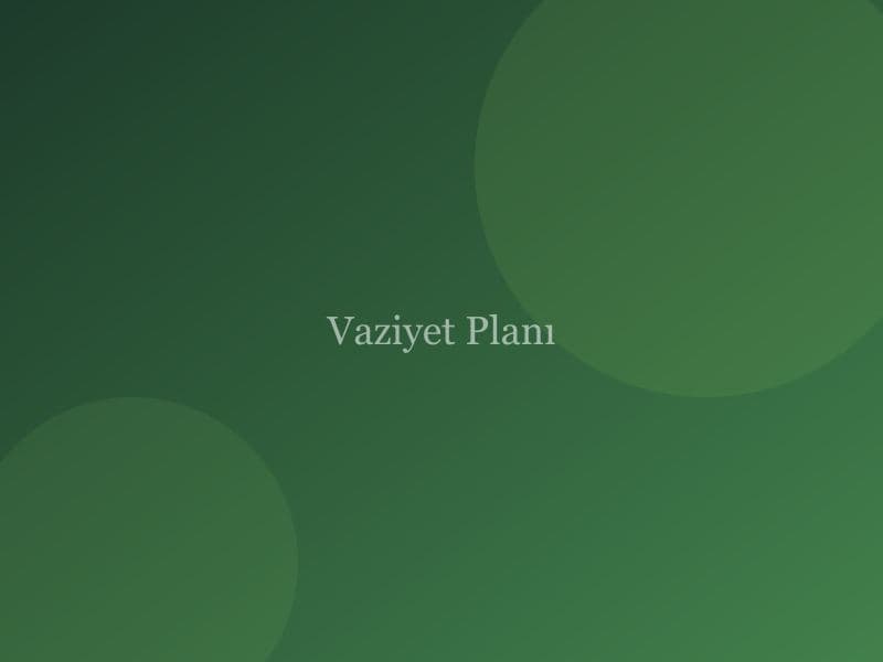 Vaziyet planı