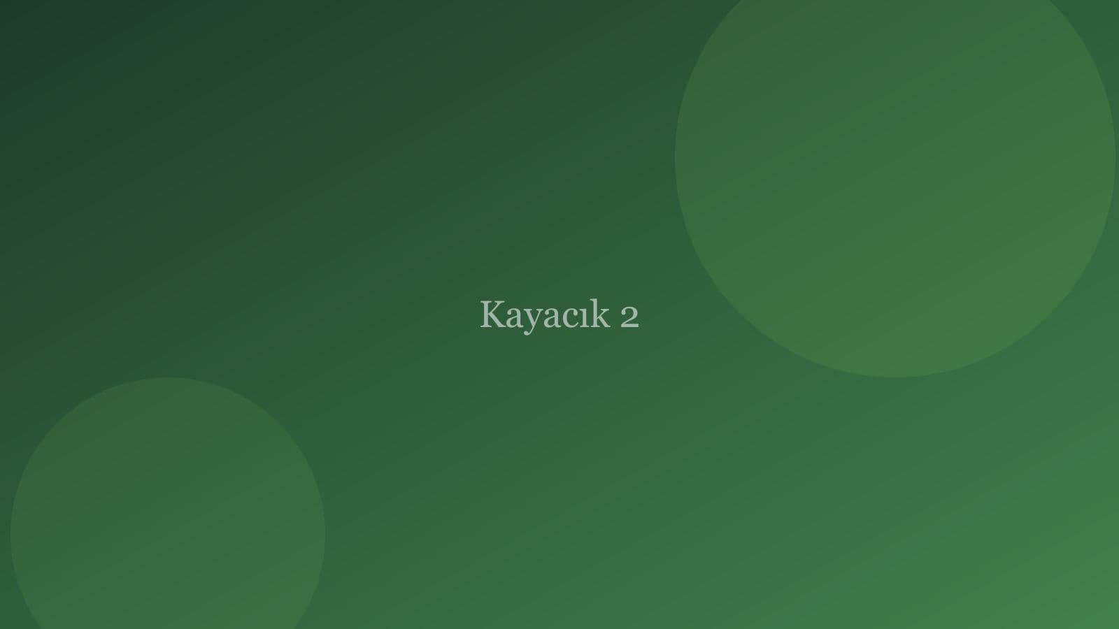Bandırma / Kayacık 2 Yeni Proje