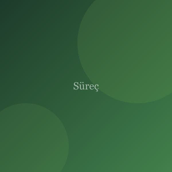 Süreç